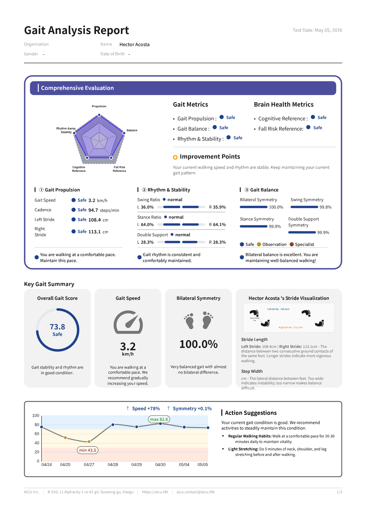 Preview of the English gait analysis report